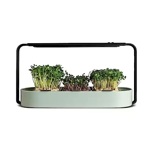 ingarden Microgreens Growing Kit – Organic Superfood Sprouting Seed Pads (3) | Auto 4-Stage LED Grow Lights & Hydroponic Watering System | Chic Steel Frame & Ceramic Bowl, Plastic-Free [...
