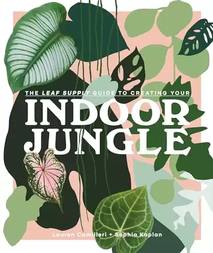 3. The Leaf Supply Guide to Creating Your Indoor Jungle