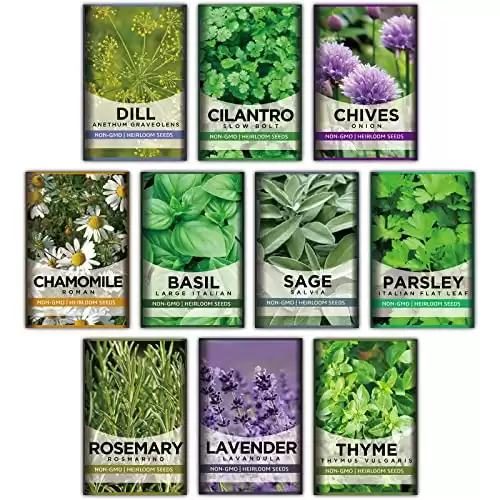 Meekear 10 Kit Non-GMO Growing into Thyme, Lavender, Chamomile, Dill, Chives, Cilantro, Rosemary, Basil, Parsley, Sage Indoor/Outdoor for Kitchen Windowsill Gardening Gift