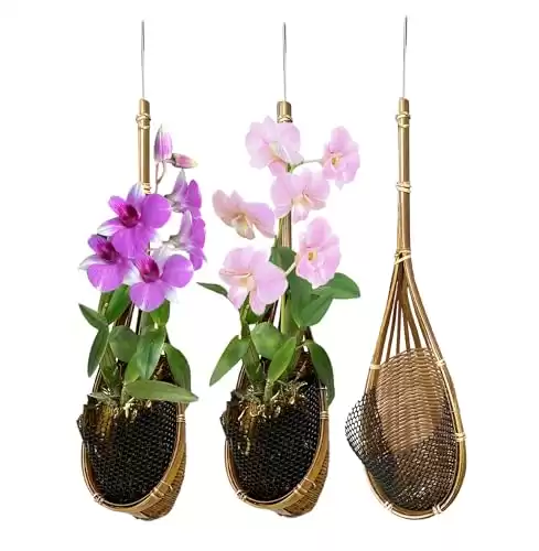 PANWA Handmade 100% Thai Bamboo Woven 4 Inch Hanging Orchid Basket - Set of 3 Multi-Purpose Bird Nest Style Plant Hangers for Gazebo - Indoor/Outdoor Flower Planter (Natural Brown)