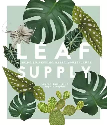 2. Leaf Supply: A Guide to Keeping Happy House Plants