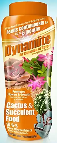  Dynamite 82170 Sun Bulb Cactus & Succulent Food, White