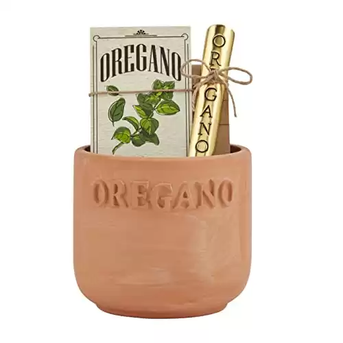 Mud Pie Oregano Herb Planting Set