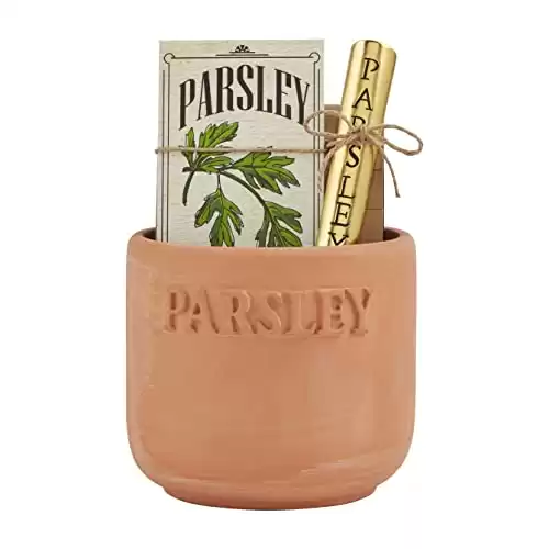 Mud Pie Parsley Herb Planting Set - Parsley