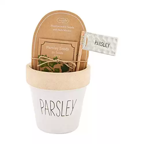 Mud Pie Planter Set - Parsley